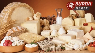 Peynir markası tağşiş skandalı sonrası konkordato ilan etti!