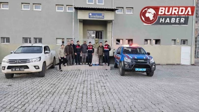 8 yaşındaki yaban keçisini avlayanlara 755 bin TL ceza kesildi.