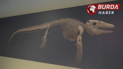Türk Profesör, Asya’da Keşfedilen İlk ''Deniz Dinozoru''nu Tanıttı