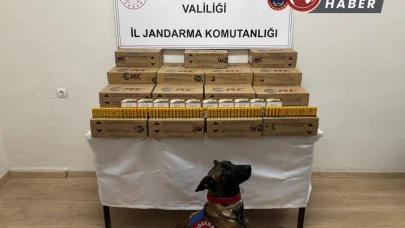 Afyonkarahisar’da 10 bin adet kaçak av tüfeği mermisi ele geçirildi