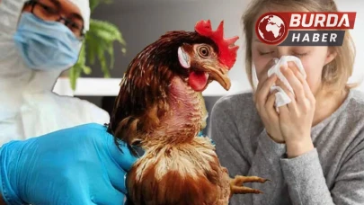 Kuş Gribi Salgınında İspanya ve Almanya'da Endişe Verici Artış
