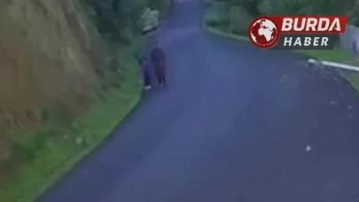 Kastamonu'da 5 Yaşındaki Osman'ın Cesedi Bulundu, Anne Kayıp