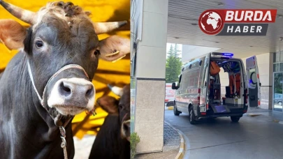 Uzmanlar, 'Deli Dana' Hastalığına Karşı Uyarıyor