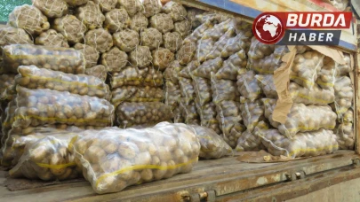 Patates Çuvallarında Gizlenmiş 14 Kilo 40 Gram Esrar Ele Geçirildi