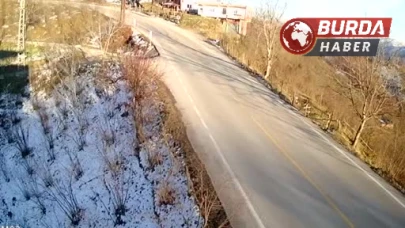 Ordu'da Ticari Araç Fındık Bahçesine Uçtu: Sürücü Yaralandı