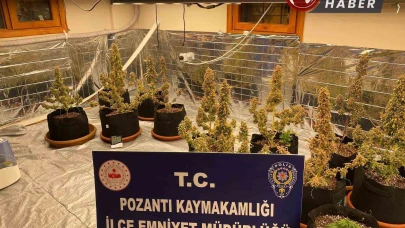 Villada Uyuşturucu Yetiştiren Torbacı ’Sevgililer’ Yakalandı