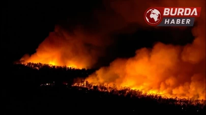 New Jersey’deki orman yangını 13 bin 250 dönüm alanı kül etti.