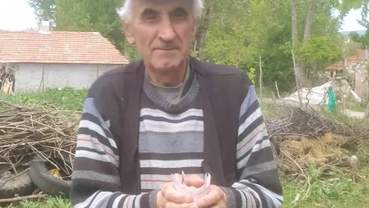 Emekli işçi bulduğu bir tomar parayı jandarmaya teslim etti.