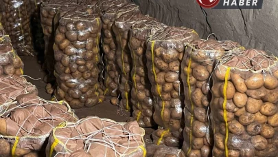 Yurt dışından gelen 2 bin tondan fazla patates virüslü çıktı.