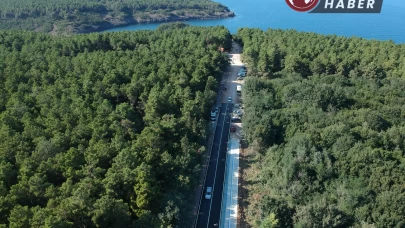Sinop’taki ormanlara girişler 31 Ekim’e kadar yasaklandı.