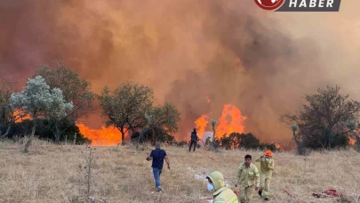 Aydın genelinde hafta sonu 11 farklı noktada yangın çıktı.