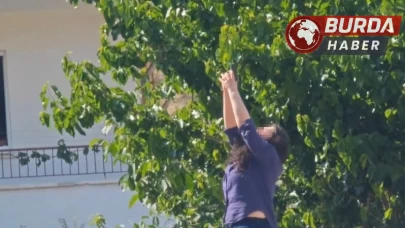 Erkek arkadaşının ofisini kurşunladıktan sonra intihara kalkıştı.