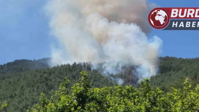 Hatay’daki Amanos dağı eteklerinde orman yangını çıktı.