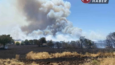 Çanakkale’de tarım arazisinde başlayan yangın ormanlık alana sıçradı