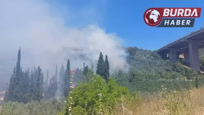 Bursa’da orman yangını köydeki evlere sıçradı...Panik yaşanıyor.