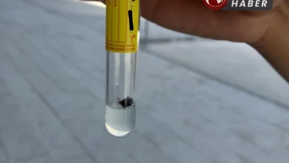 Tokat’ta KKKA şüphesiyle tedavi gören anne hayatını kaybetti.