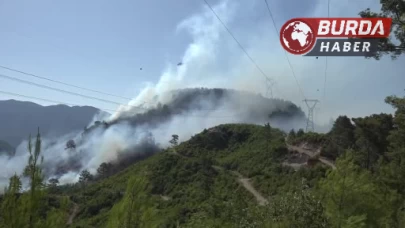 Antalya’da 2 ilçede orman yangını çıktı, müdahaleler devam ediyor.