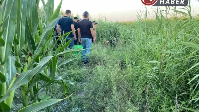 Adana’da sazlıklar arasında bir kişi ölü olarak bulundu.