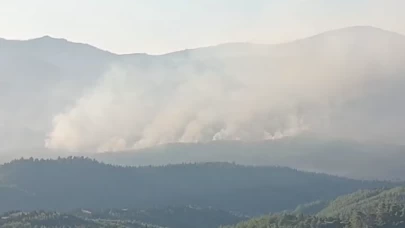 İzmir’de orman yangını sürüyor... Havadan müdahale yeniden başladı.