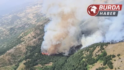 Denizli’deki orman yangınına havadan ve karadan müdahale ediliyor