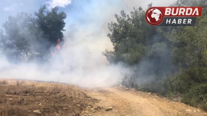 Adana Fadıl köy mevkiindeki ormanlık alanda yangın çıktı.