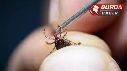 Kenenin yapıştığı yaşlı kadın öldü, kentte ölü sayısı 8’e çıktı.