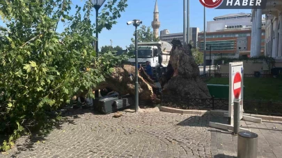 Tarihi Kemeraltı Çarşısı girişindeki asırlık çınar devrildi
