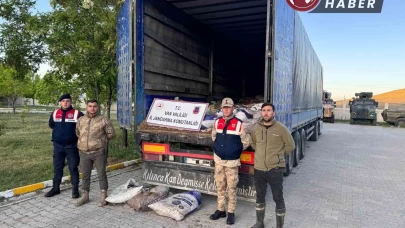 Van’da 22 ton 475 kilogram kaçak avlanmış balık yakalandı.