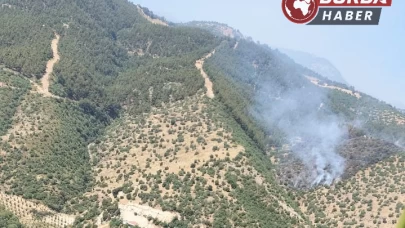 Manisa’da orman yangınına havadan ve karadan müdahale ediliyor.