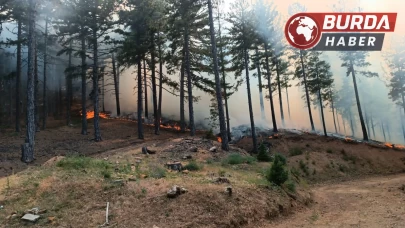 Adana’nın Feke ilçesi sınırlarında orman yangını çıktı.