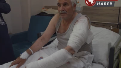 Van'da ot biçen vatandaş kurdun saldırısına uğradı.