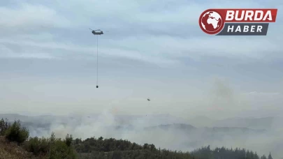 Adana’da orman yangını kontrol altında: 6 kişi gözaltında