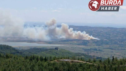 Kahramanmaraş'ın Kıyıkcı köyünde ormanlık alanda yangın çıktı.
