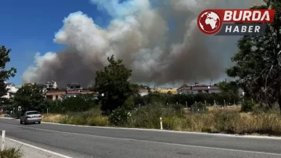 Çeşme’de çıkan yangın rüzgarın da etkisiyle geniş bir alana yayıldı.
