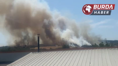 Bursa’da ormanlık alandan alevler yükselmeye başladı.