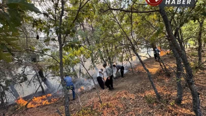 Adana Feke’de orman yangınına ekiplerin müdahaleleri devam ediyor.