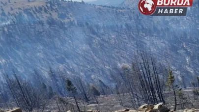 Kahramanmaraş’taki orman yangını ile mücadele sürüyor.