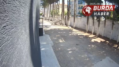 Başkan, taş döşemek istemeyen zabıtaları sopayla dövdü