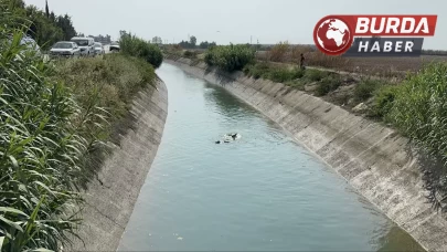 Kanala düşen cep telefonunu ararken hayatından oldu.
