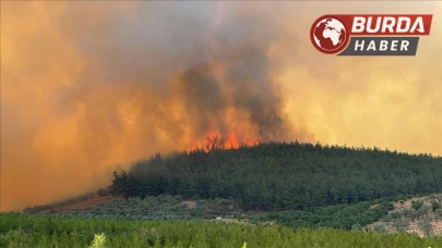 Yangına 3 uçak 11 helikopter ve 242 personel müdahale ediyor.