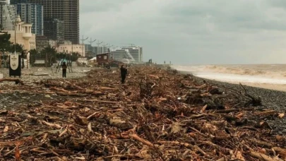 Çoruh Nehri’nin getirdiği ağaç kütükleri Batum sahillerini doldurdu.