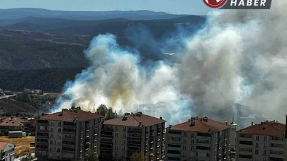 Salça yaparken sıçrayan kıvılcımla 30 dönüm makilik alan kül oldu