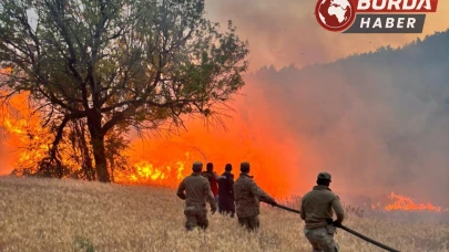 Niğde’de çobanların yaktığı ateş kontrolden çıkarak yangına dönüştü.