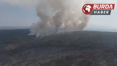 Karabük’teki orman yangını tek noktada devam ediyor.