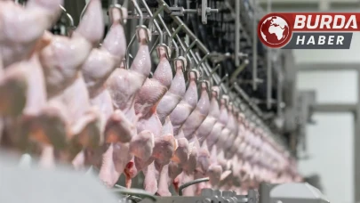 Irak genel olarak tüm tavuk ürünlerinin ithalatını yasakladı.