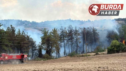 Osmaniye’nin Sumbas ilçesinde orman yangını başladı.