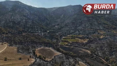 Buldan’da zorlu arazi şartları yangına müdahaleyi güçleştiriyor.