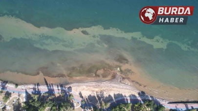 Yalova sahillerinde deniz suyu yaklaşık 5 metre çekildi.