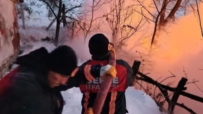 Sinop’ta Çıkan Ahır Yangınında 9 Büyükbaş Hayvan Telef Oldu