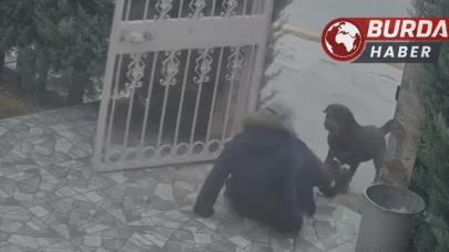Köpek Saldırısına Uğrayan Kadını Komşusunun Müdahalesi Kurtardı
